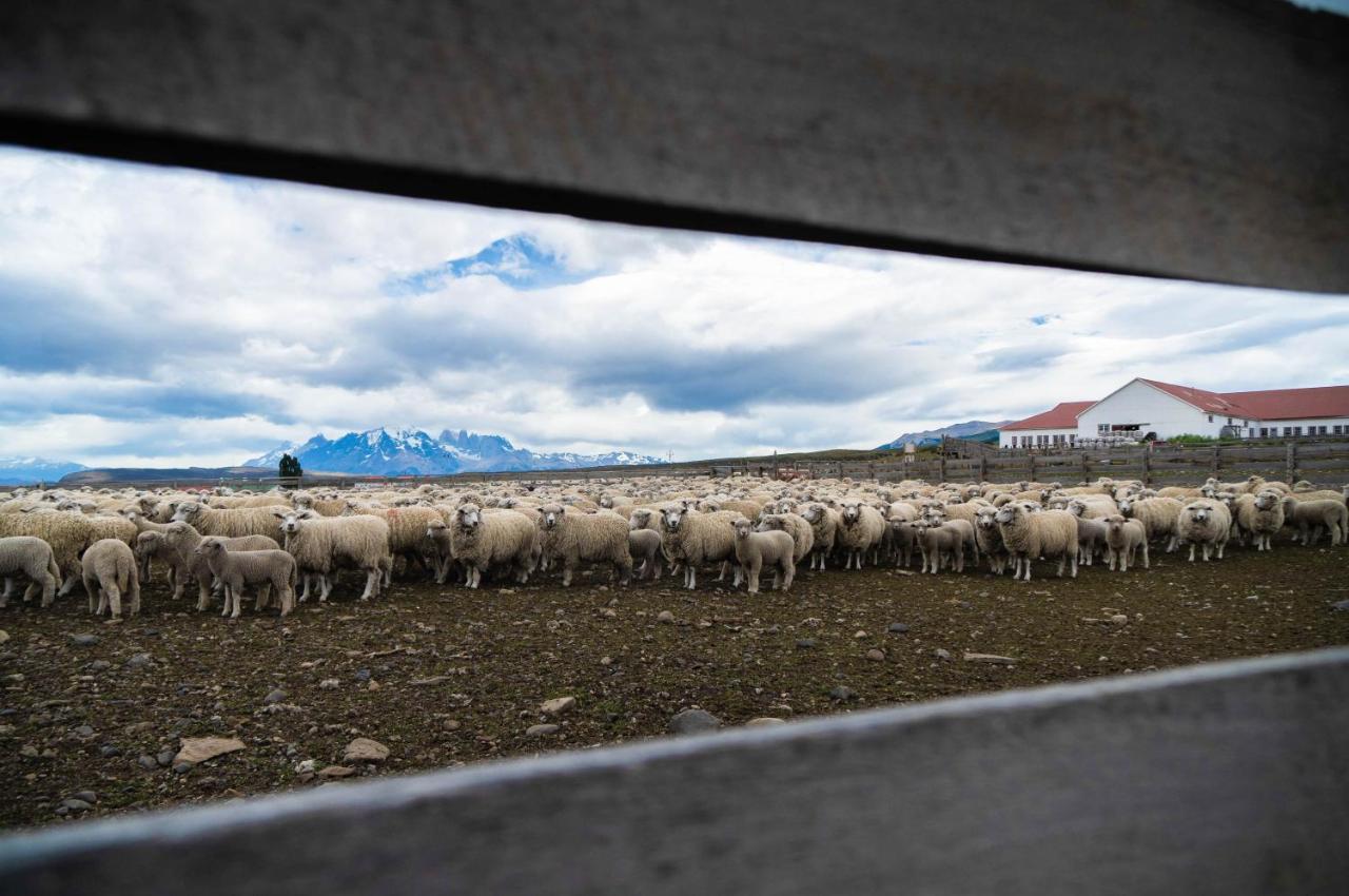 Estancia Cerro Guido Torres del Paine National Park Exterior photo