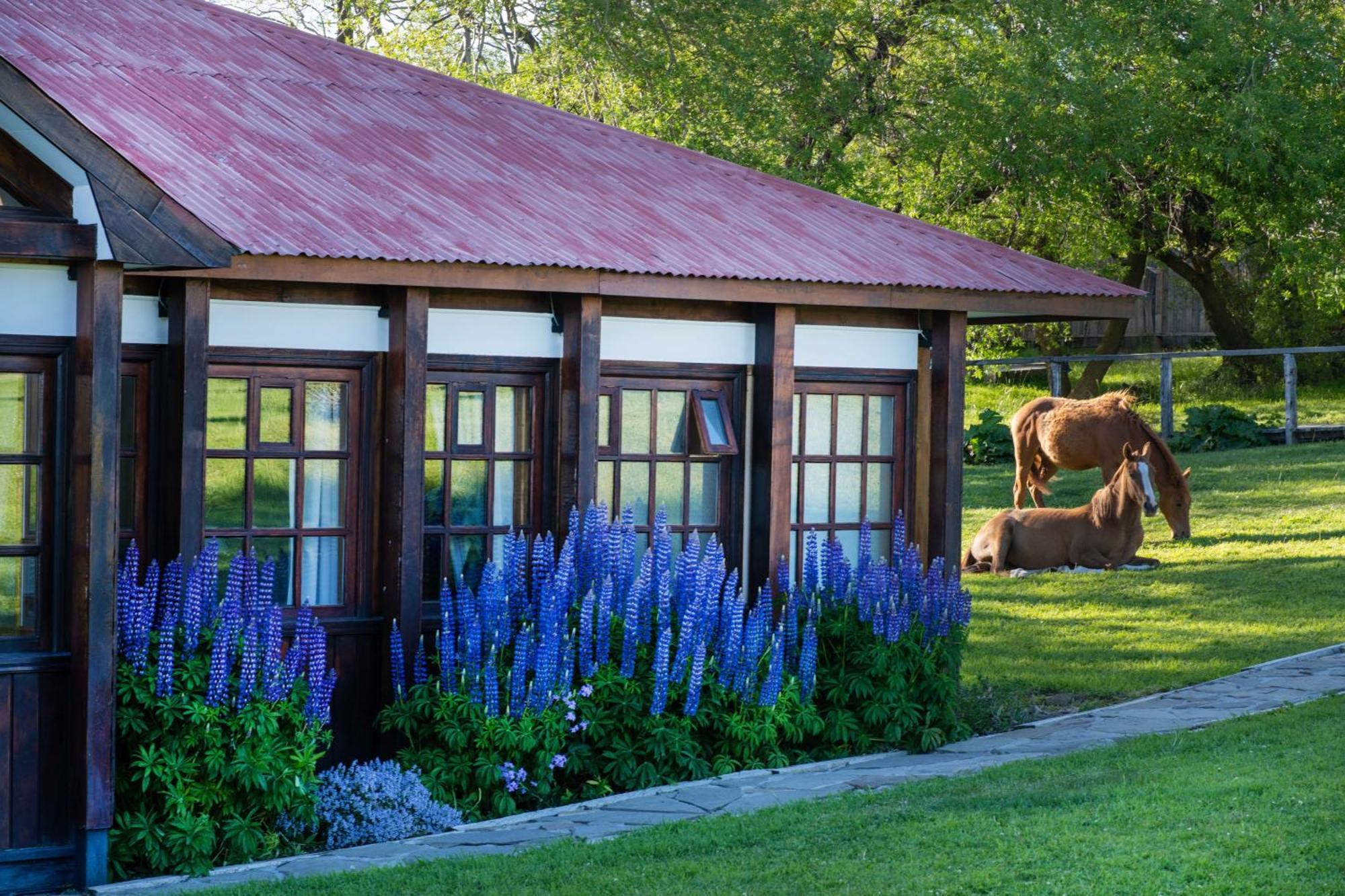 Estancia Cerro Guido Torres del Paine National Park Exterior photo