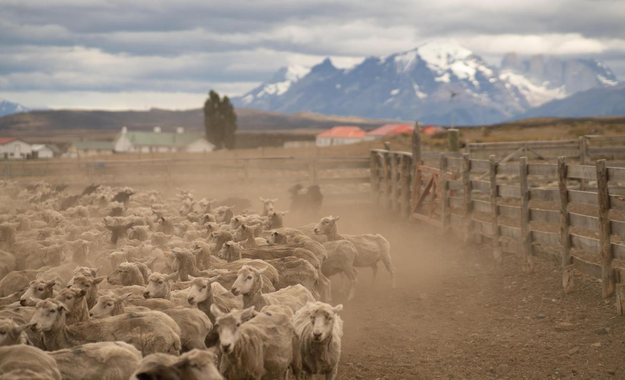 Estancia Cerro Guido Torres del Paine National Park Exterior photo