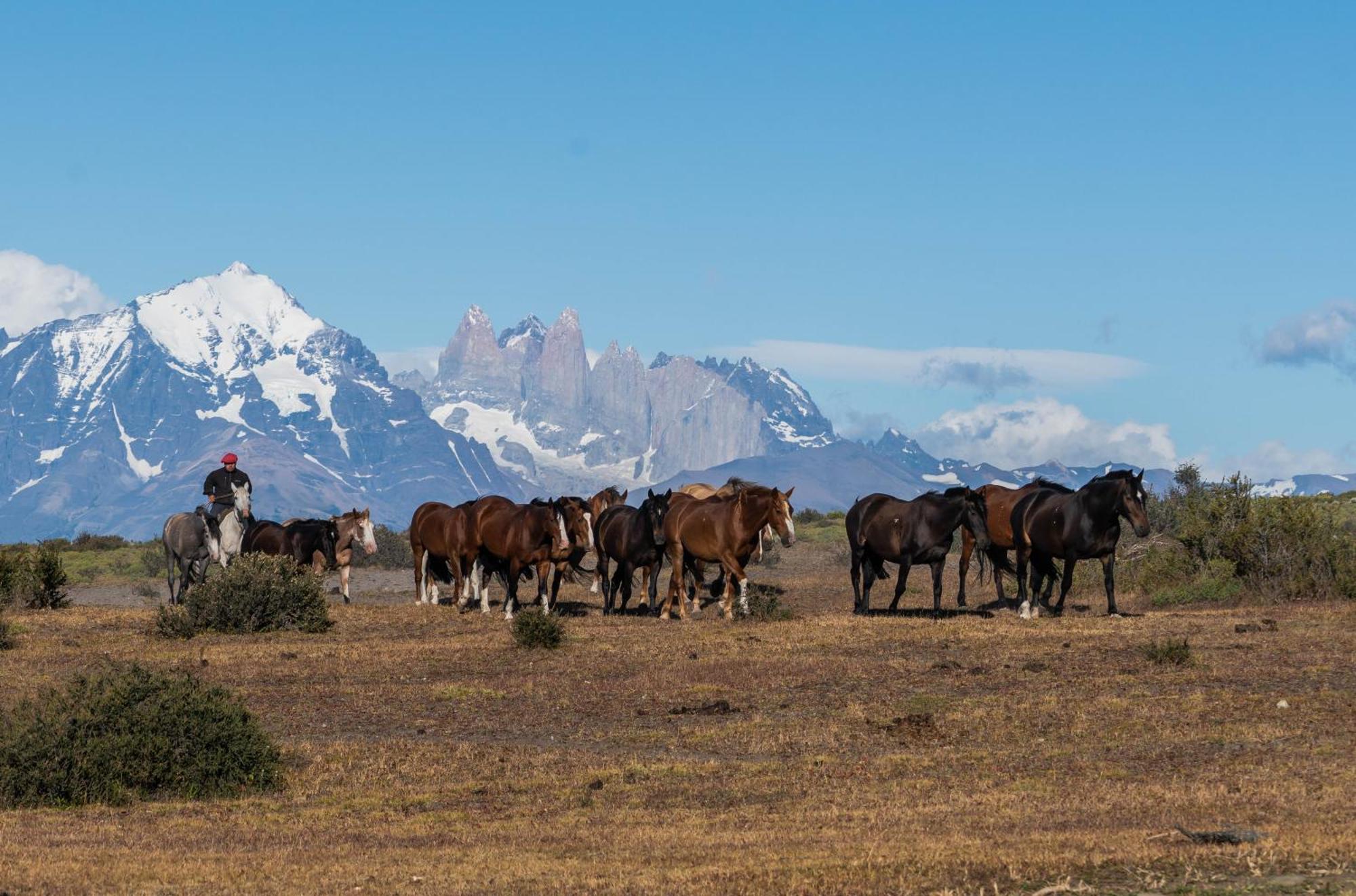 Estancia Cerro Guido Torres del Paine National Park Exterior photo