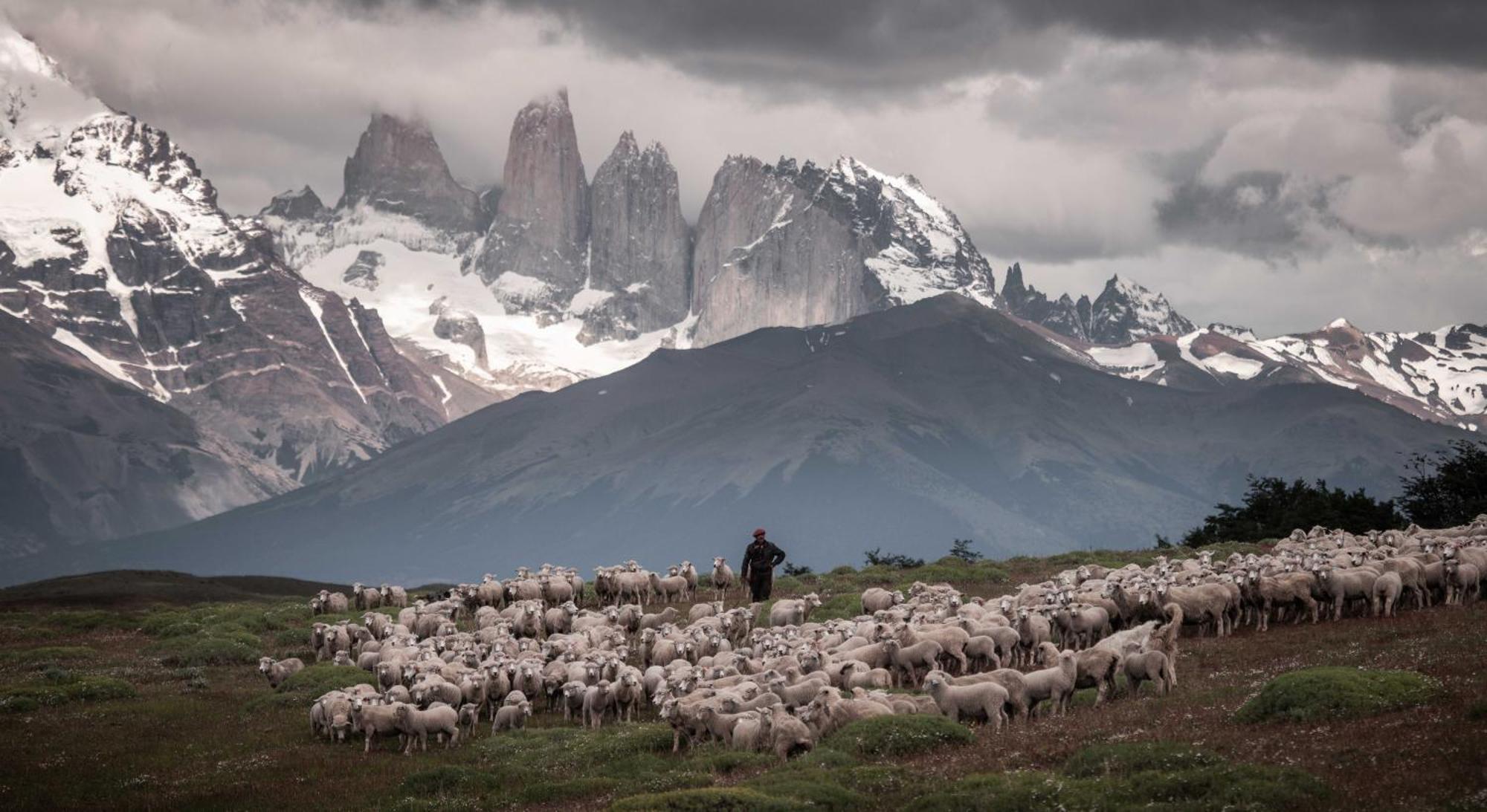 Estancia Cerro Guido Torres del Paine National Park Exterior photo
